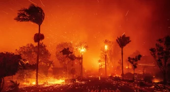 Unseen Challenges: LA Fire Captain Reveals the Harrowing Reality of Wildfires