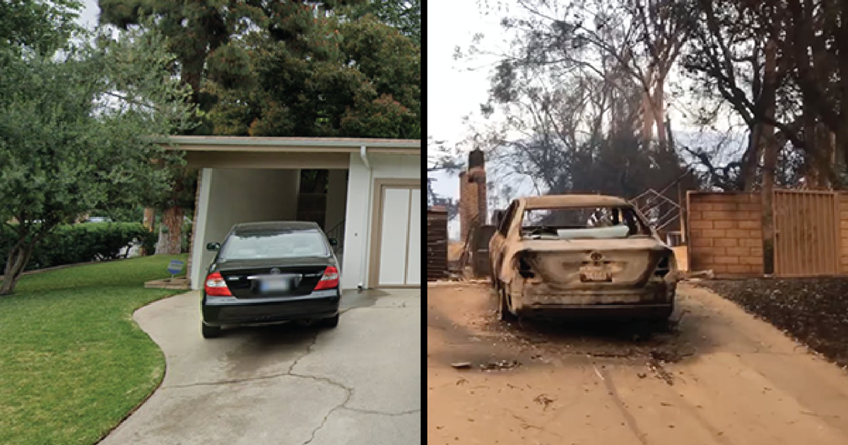 los-angeles-wildfires-devastation-photos