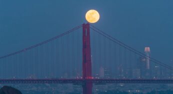 Captivating Pink Moon Lights Up the Golden Gate Bridge: A Celestial Spectacle