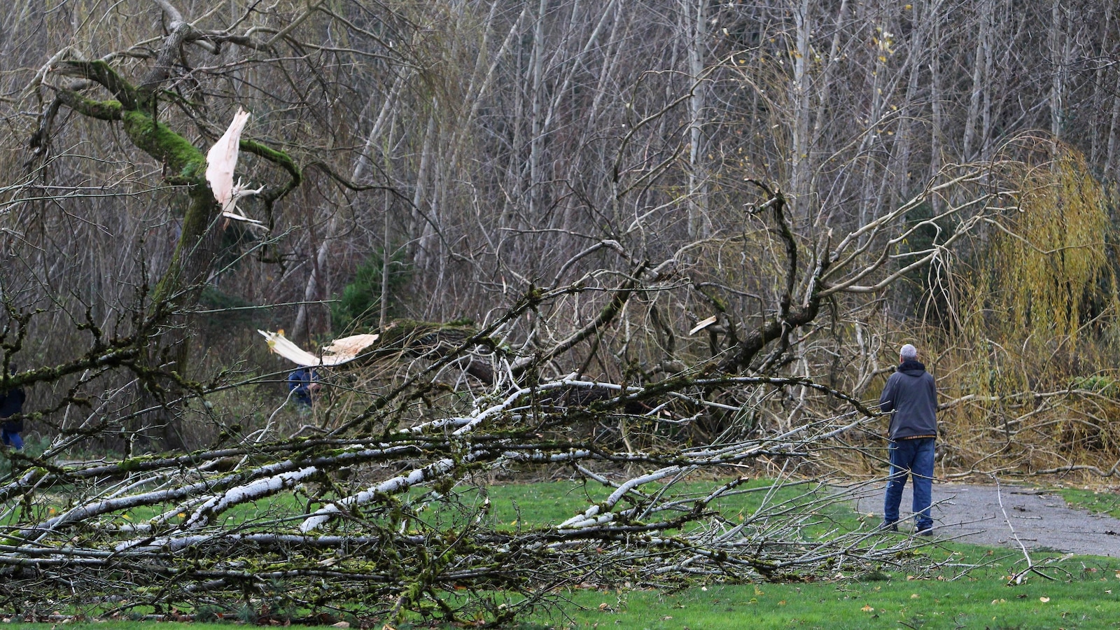 atmospheric-river-bomb-cyclone-east-coast