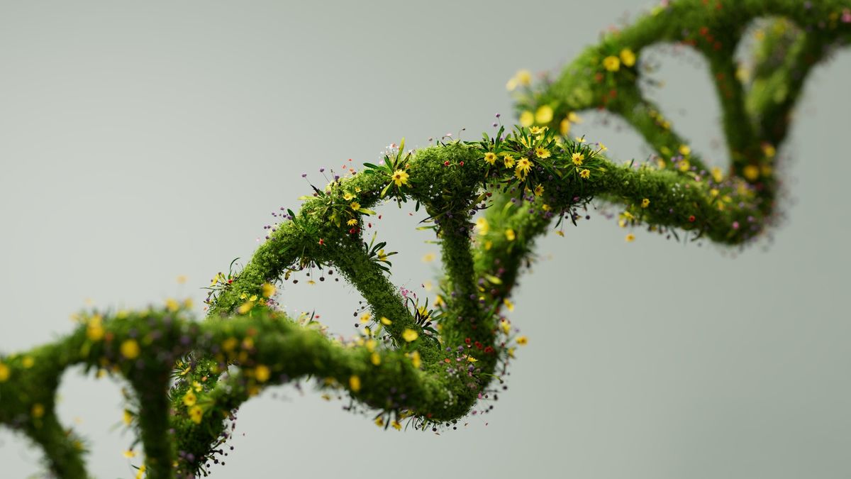 climate-change-animal-adaptation