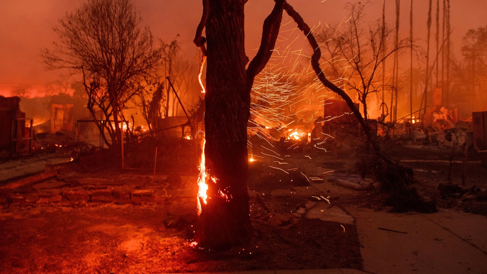 los-angeles-urban-forest-wildfires
