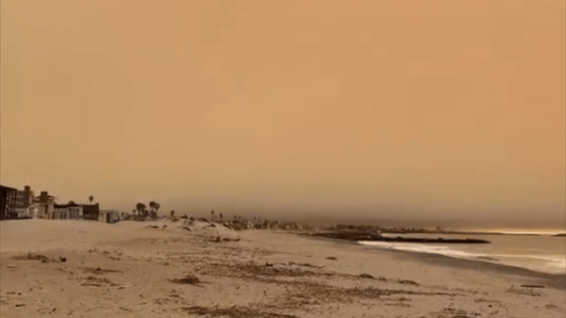 wildfire-beach-transformation