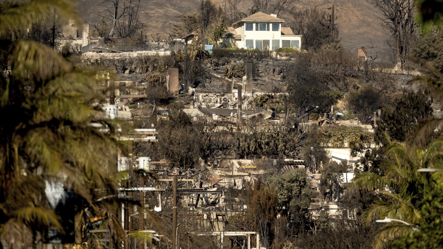wildfire-survival-homes