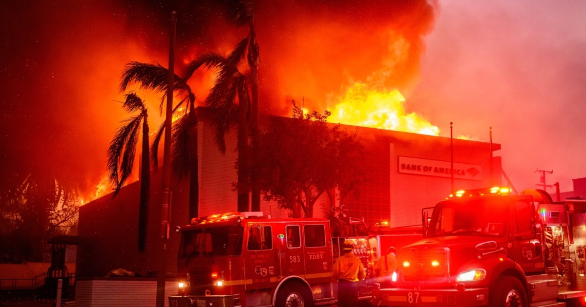 wildfires-los-angeles-lawrence