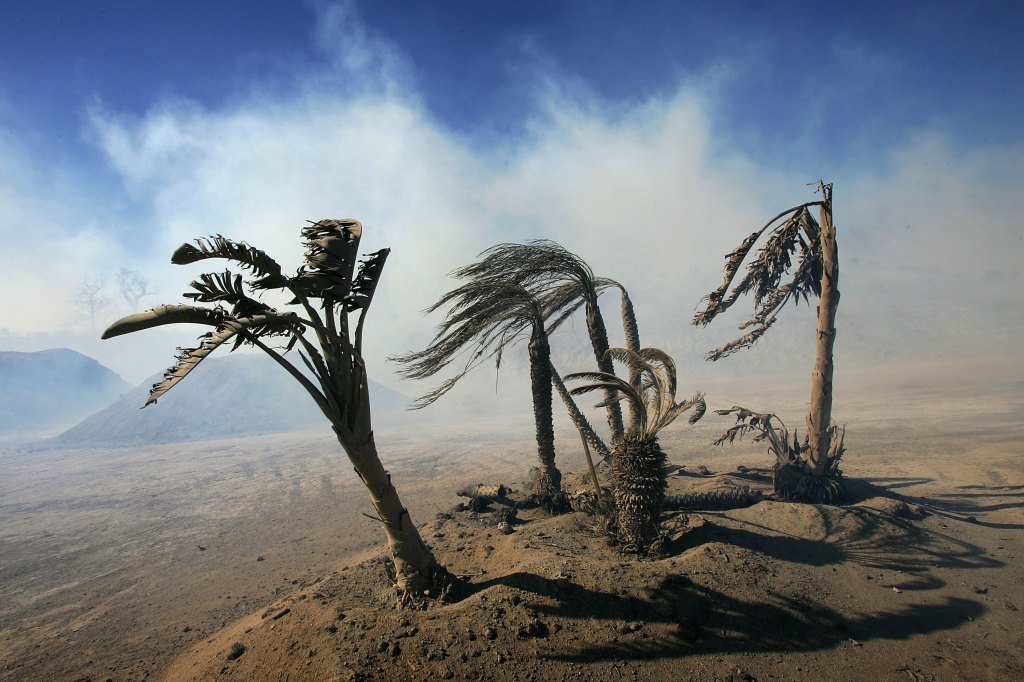 windstorm-southern-california