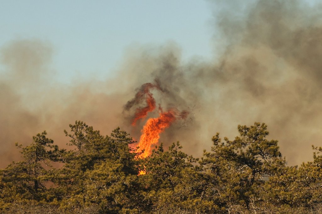 hamptons-wildfires